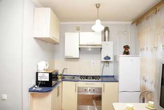 Апартаменты Apartment Pushkina Днепр Апартаменты-16