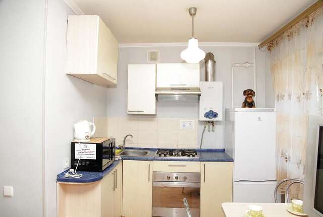 Апартаменты Apartment Pushkina Днепр-5